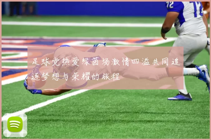 足球党热爱绿茵场激情四溢共同追逐梦想与荣耀的旅程