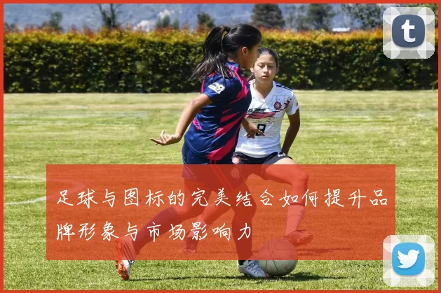 足球与图标的完美结合如何提升品牌形象与市场影响力