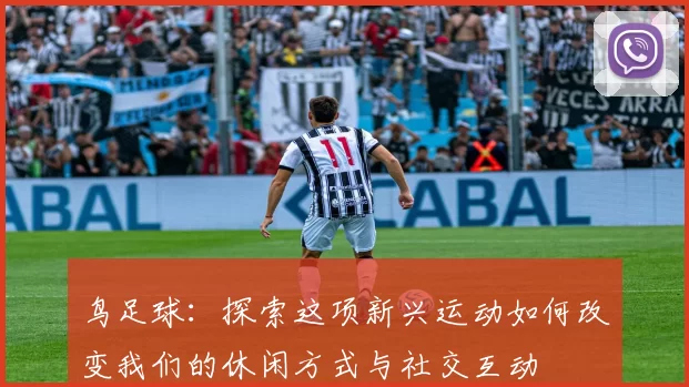 鸟足球：探索这项新兴运动如何改变我们的休闲方式与社交互动