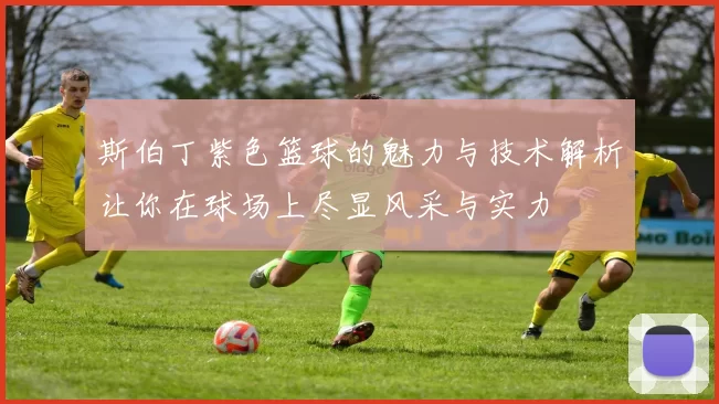 斯伯丁紫色篮球的魅力与技术解析让你在球场上尽显风采与实力