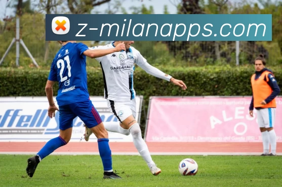 米兰体育APP 封面图